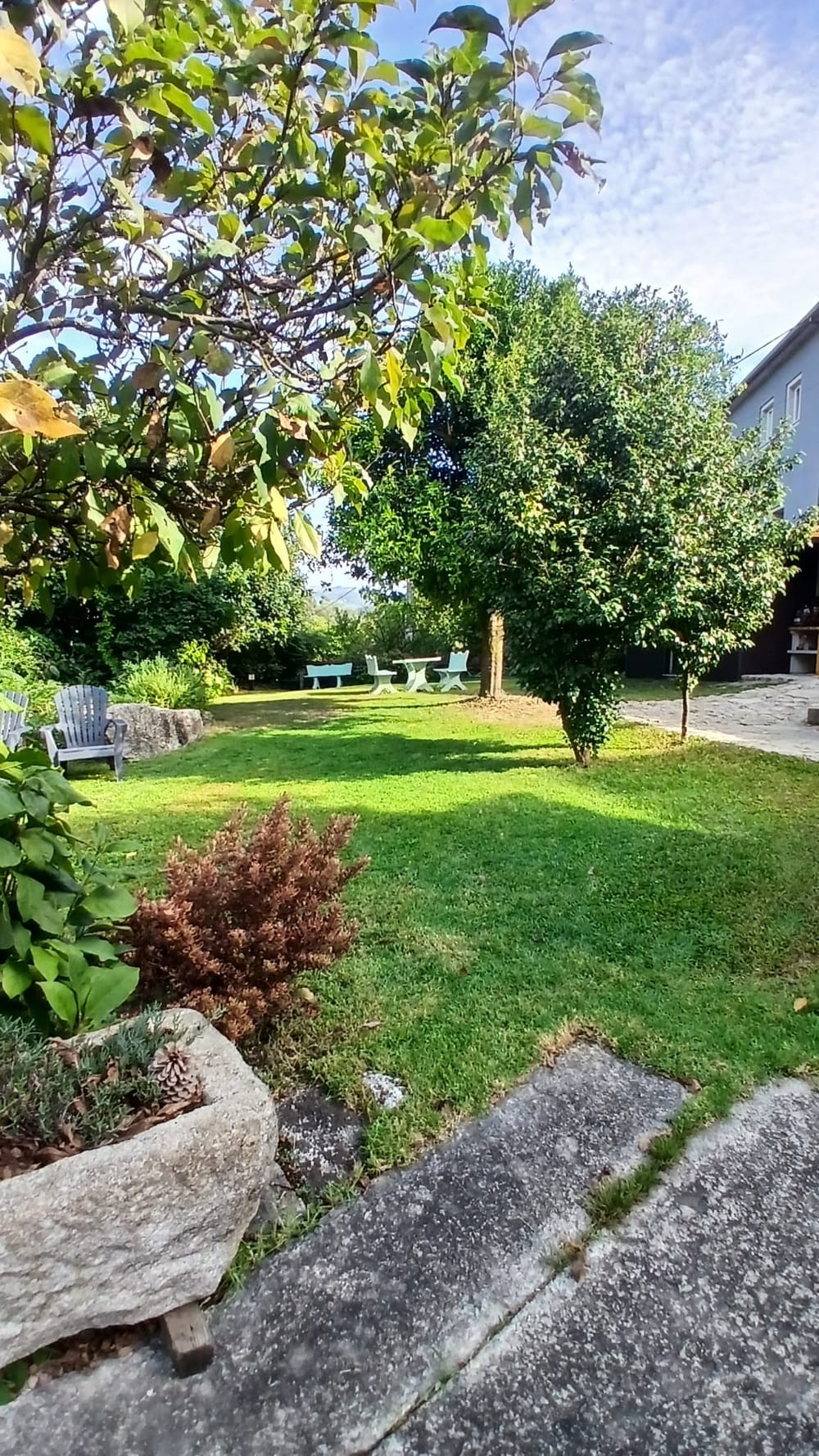 O jardim relvado, com as arvores de fruto, os bancos ao fundo e a casa a direita.